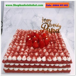 Bánh Sinh Nhật Tiramisu - T364